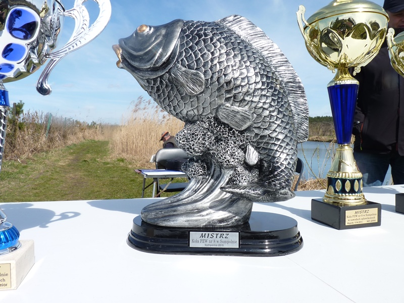 Wędkarskie Mistrzostwa Koła nr 8 w Sompolnie na rok 2015