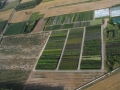 Piatkowski Płoszewo