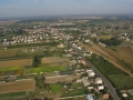 Ruiny Drzew-metal, Warszawska, targowica