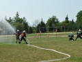 DSC_1754 (Copy).JPG