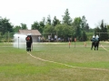 DSC_1781 (Copy).JPG