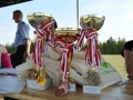 DSC_1856 (Copy).JPG